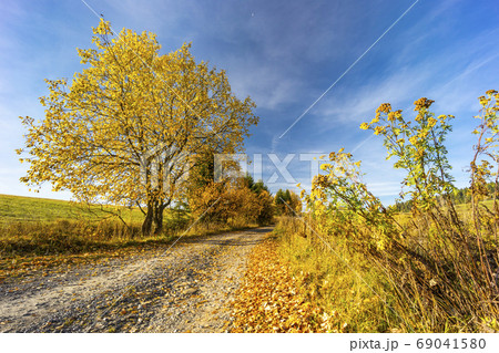 road with autumn tree near saddle Beskyd in road with autumn tree near saddle Beskyd in 69041580