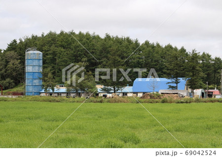 北海道　釧路地方　牧場のある風景 69042524