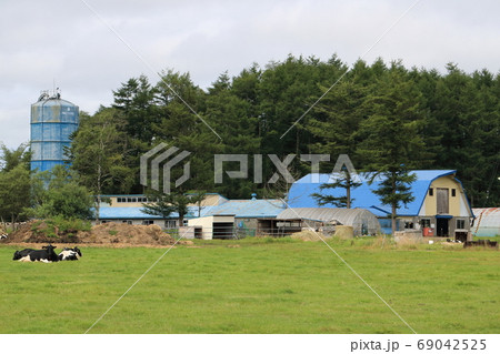北海道　釧路地方　牧場のある風景 69042525