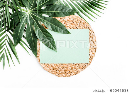 Tropical palm leaves Aralia, paper blank isolated on white background. Tropical nature concept. Tropical palm leaves Aralia, paper blank isolated on white background. Tropical nature concept. 69042653