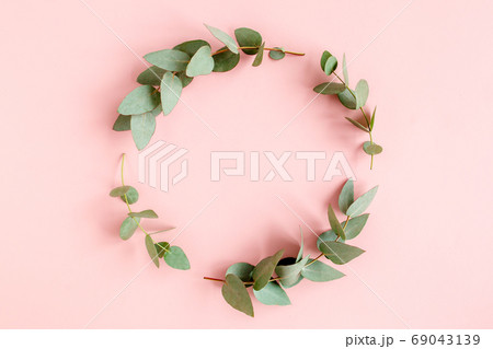 Wreath frame made of branches eucalyptus and leaves isolated on pink background. lay flat, top view 69043139