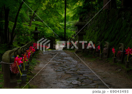 滋賀県　金剛輪寺千体地蔵 69043493
