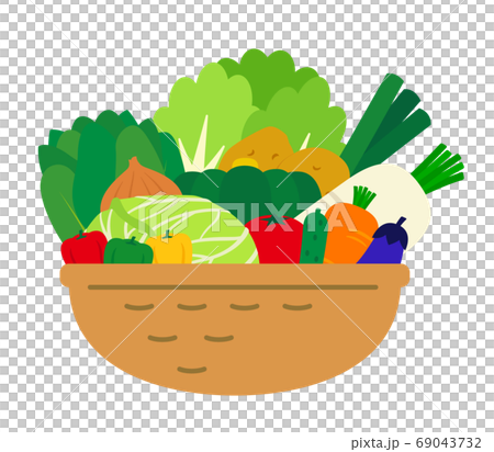 Illustration of assorted vegetables 69043732