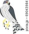 隼イメージ 69043984