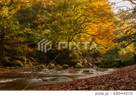紅葉の綺麗な菊池渓谷 紅葉の綺麗な菊池渓谷 69044070