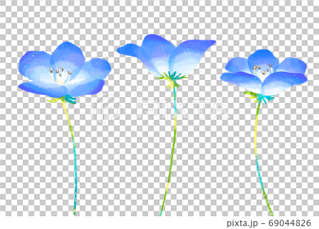 Illustration of Nemophila with a gentle touch Illustration of Nemophila with a gentle touch 69044826