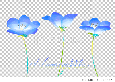 優しいタッチのネモフィラのイラスト 69044827