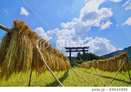秋の大斎原の風景　熊野本宮大社　和歌山県田辺市 69044996