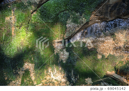 岩に生す苔 岩に生す苔 69045142