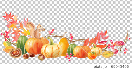 Halloween pumpkin and squirrel decorative frame. Autumn image watercolor illustration (white background) 69045406