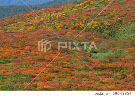 絶景紅葉　栗駒山の神の絨毯・素晴らしき錦秋の山 69045854