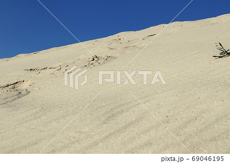 Sand dunes close-up nature. Yellow sand background 69046195
