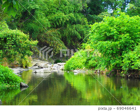 新緑と小川 69046641