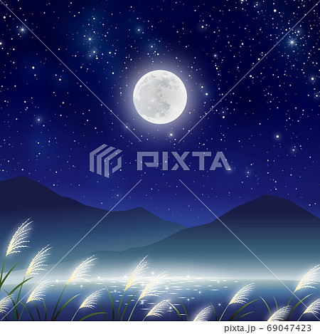 中秋の名月　すすき　野原 69047423