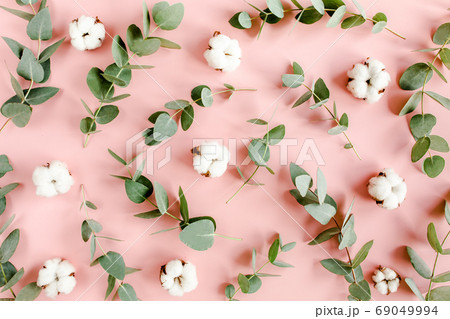 Textured background, pattern made of branches eucalyptus, leaves and cotton isolated on pink background. lay flat, top view 69049994