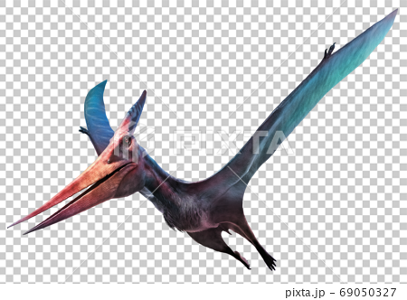 3d illustration, dinosaur, pteranodon 69050327
