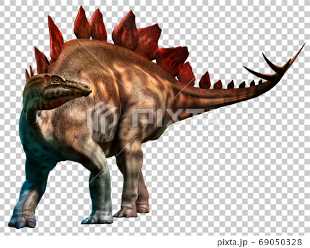 dinosaur, jurassic, stegosaurus 69050328