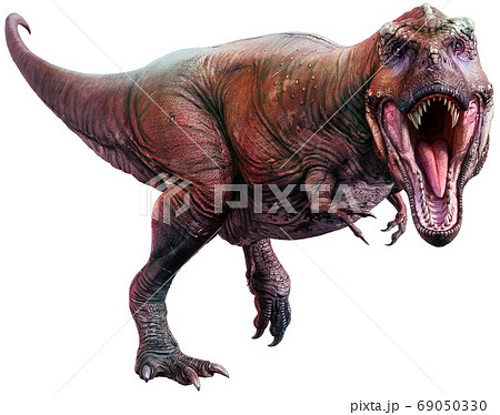 Tyrannosaurus from the Cretaceous era 3D illustration	 69050330