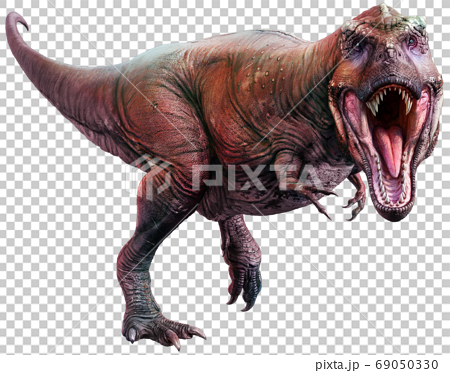 3d illustration, dinosaur, tyrannosaurus 69050330