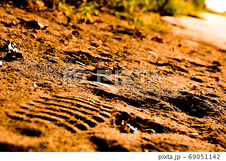地面に残った足跡 69051142