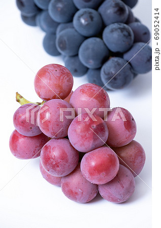 ぷりっぷりっ！ 大粒ぶどう／巨峰、クイーンニーナ 69052414
