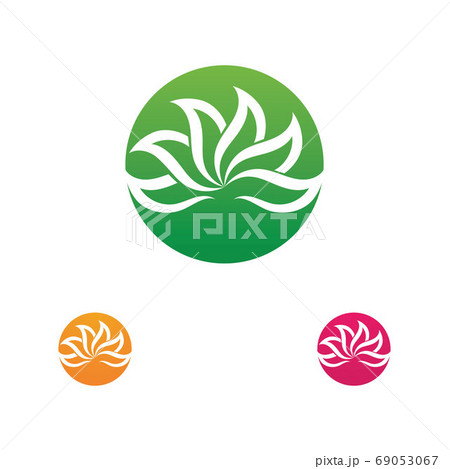 Beauty Vector lotus icon Beauty Vector lotus icon 69053067