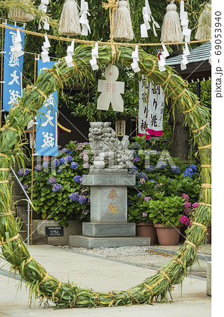 埼玉　川越八幡宮の鳥居と茅の輪くぐり 69053940