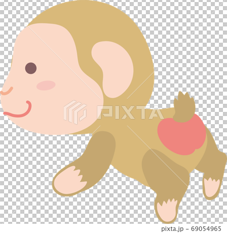 Monkey Stock Illustration