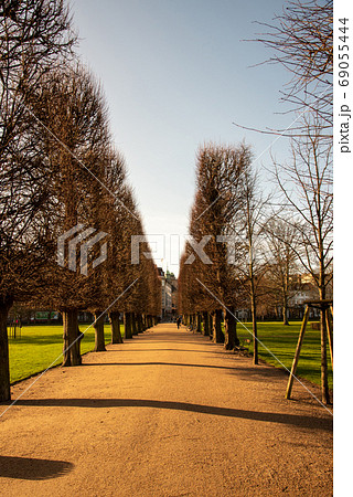 Canopy of trees in Copenhagen Canopy of trees in Copenhagen 69055444