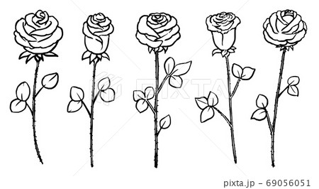 Hand Drawn Blossom Rose Flower Stem Isolated Setのイラスト素材
