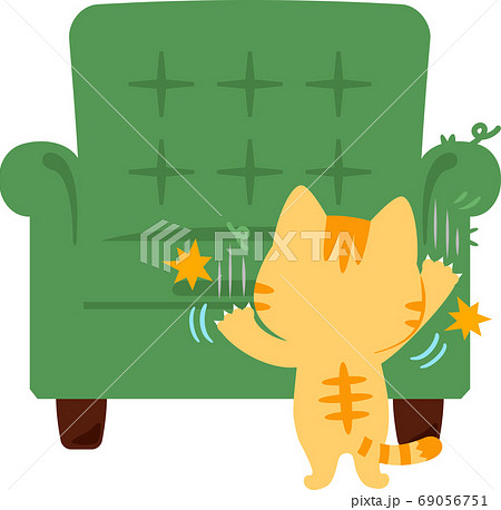 ソファで爪を研ぐ猫 69056751