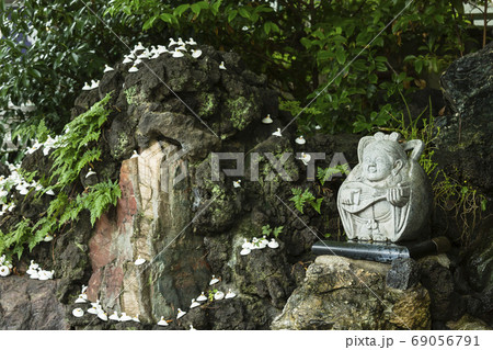 埼玉　川越の熊野神社の境内 69056791