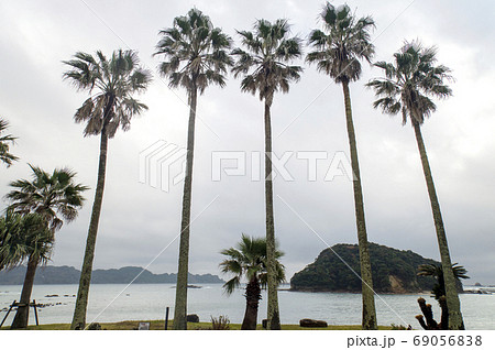 宮崎県 日南市 栄松海岸と孤島 宮崎県 日南市 栄松海岸と孤島 69056838