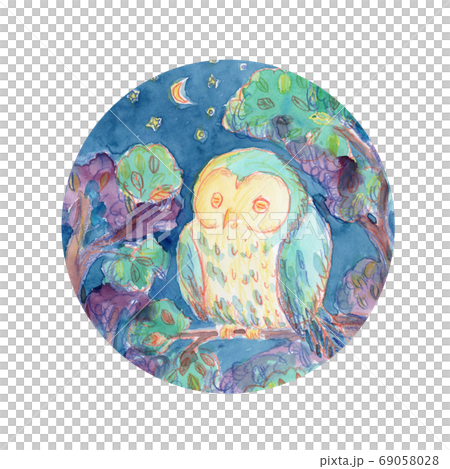 夜の森のふくろう水彩画 69058028