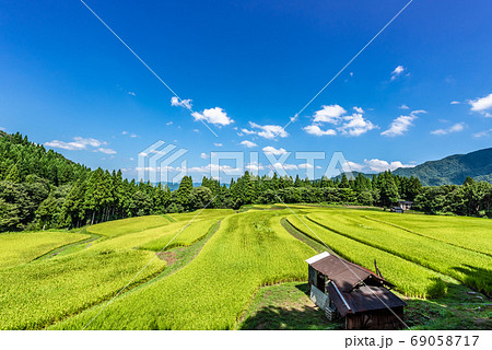 兵庫県・香美町　うへ山の棚田　秋イメージ 69058717