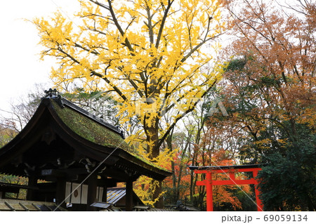 秋の河合神社(下鴨神社)　紅葉風景 69059134