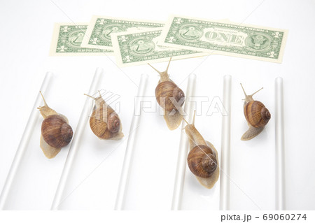 speed to achieve financial well-being. snails run to the finish speed to achieve financial well-being. snails run to the finish 69060274