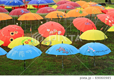 傘 韓国 緑の写真素材