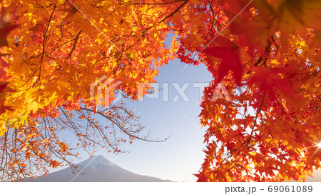 山梨県 河口湖 富士山 紅葉 額縁 山梨県 河口湖 富士山 紅葉 額縁 69061089