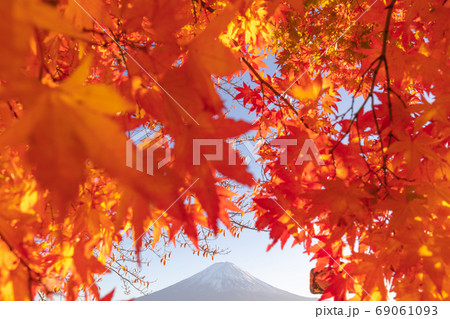 山梨県 河口湖 富士山 紅葉 額縁 山梨県 河口湖 富士山 紅葉 額縁 69061093