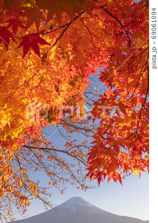 山梨県 河口湖 富士山 紅葉 額縁 山梨県 河口湖 富士山 紅葉 額縁 69061094