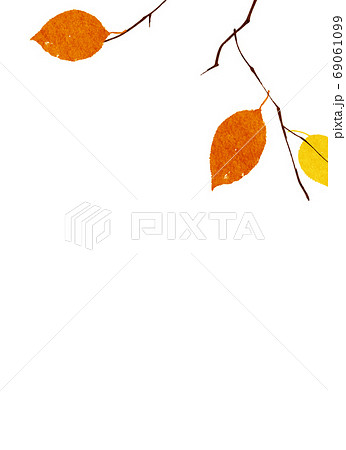 背景素材 水彩テクスチャー 枯葉 秋のイラスト素材