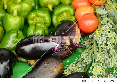 採りたての夏野菜 69061129
