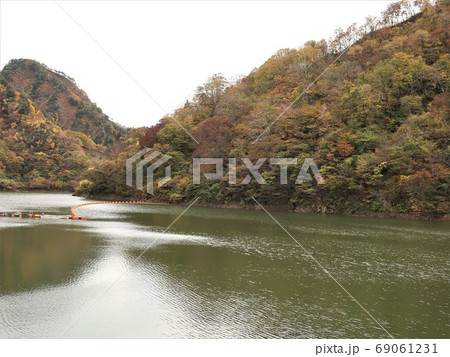 新潟県 五泉市 早出川ダムの紅葉 新潟県 五泉市 早出川ダムの紅葉 69061231