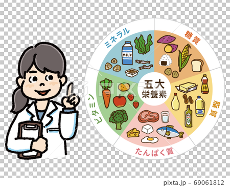 五大栄養素の表と管理栄養士のイラストB 五大栄養素の表と管理栄養士のイラストB 69061812