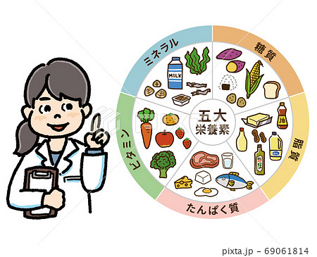 五大栄養素の表と管理栄養士のイラストaのイラスト素材