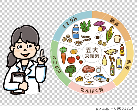 五大栄養素の表と管理栄養士のイラストaのイラスト素材