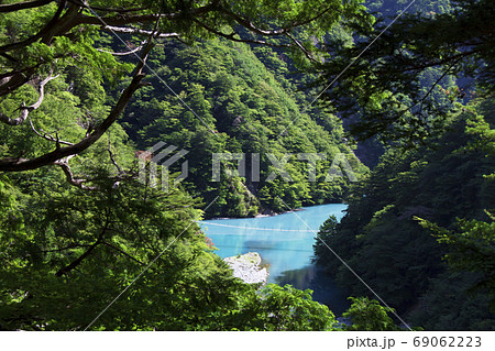 夢の吊橋(静岡県寸又峡) 夢の吊橋(静岡県寸又峡) 69062223