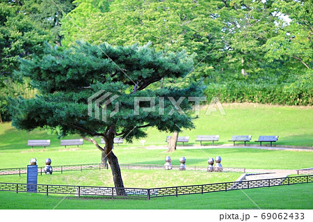夏 公園 晋州城 69062433