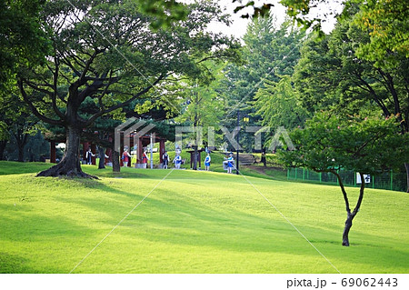 夏 公園 芝生 69062443